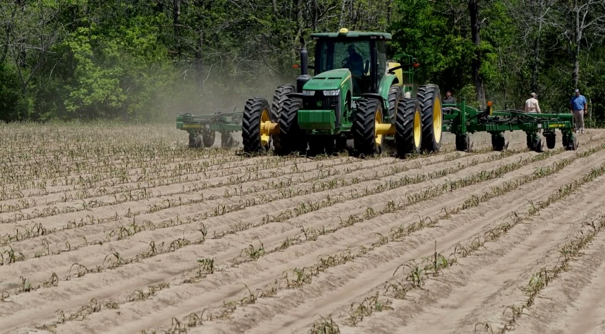 Soybean planting progressing, but more moisture needed